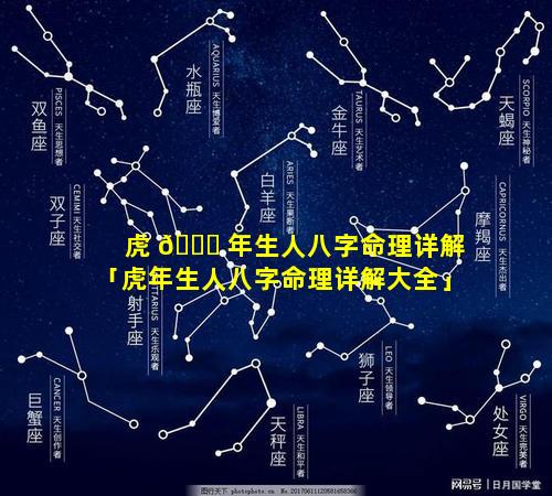 虎 🕊 年生人八字命理详解「虎年生人八字命理详解大全」